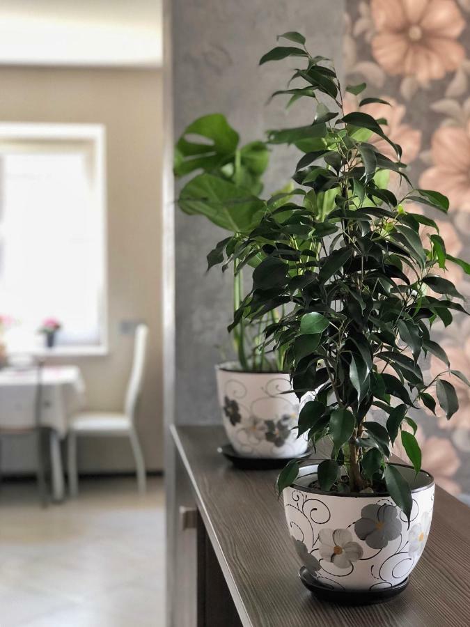 Apartment Near The Forest 格罗德诺 外观 照片